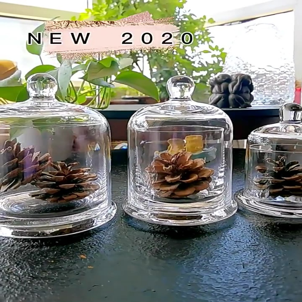 Food Storage Of Plants - Pote de Vidro para Armazenamento, Flor