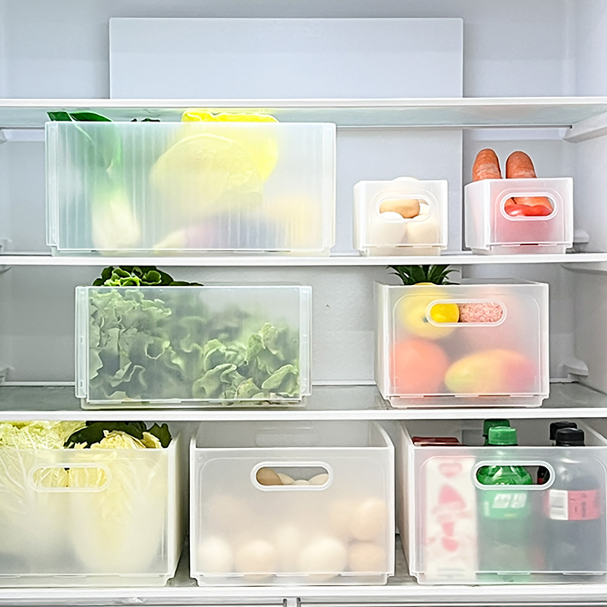 WORTHBUY Caixa de armazenament - Xxl Food Storage Container avaliação e preço