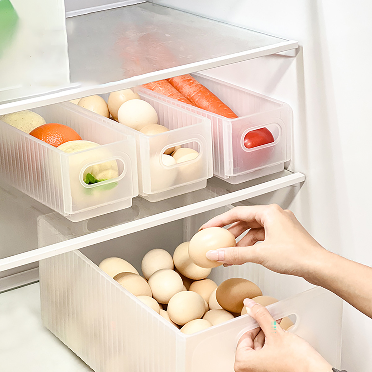 WORTHBUY Caixa de armazenament - Xxl Food Storage Container avaliação e preço