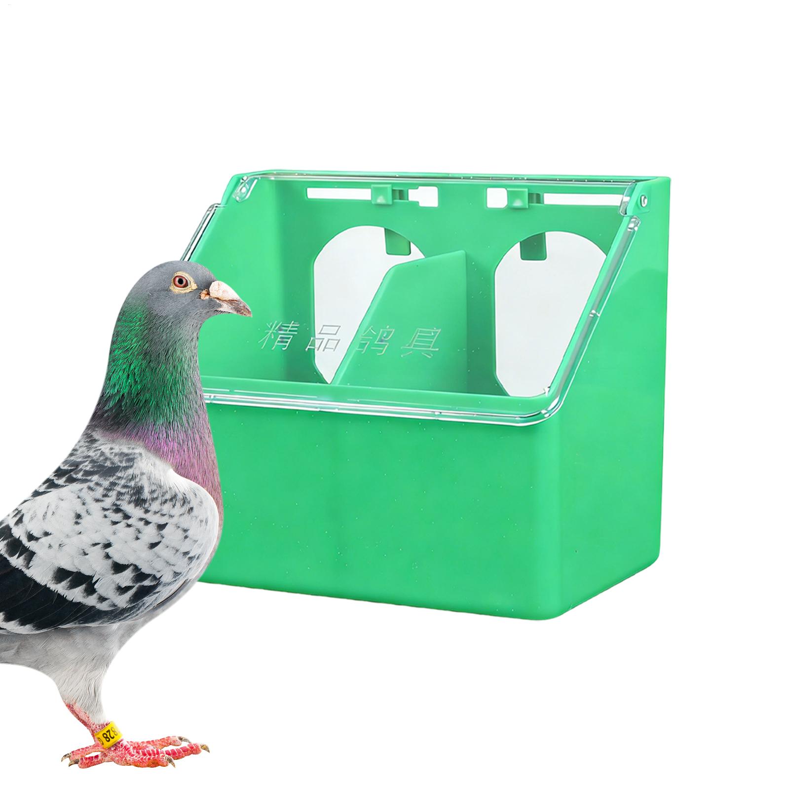 Comedouro Automático Suspenso  - Xxl Food Storage Container avaliação e preço