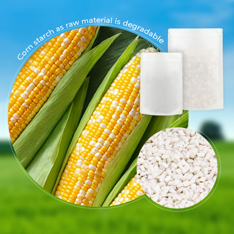 Sacos de papel kraft degradáve - Food Storage Of Plants avaliação e preço